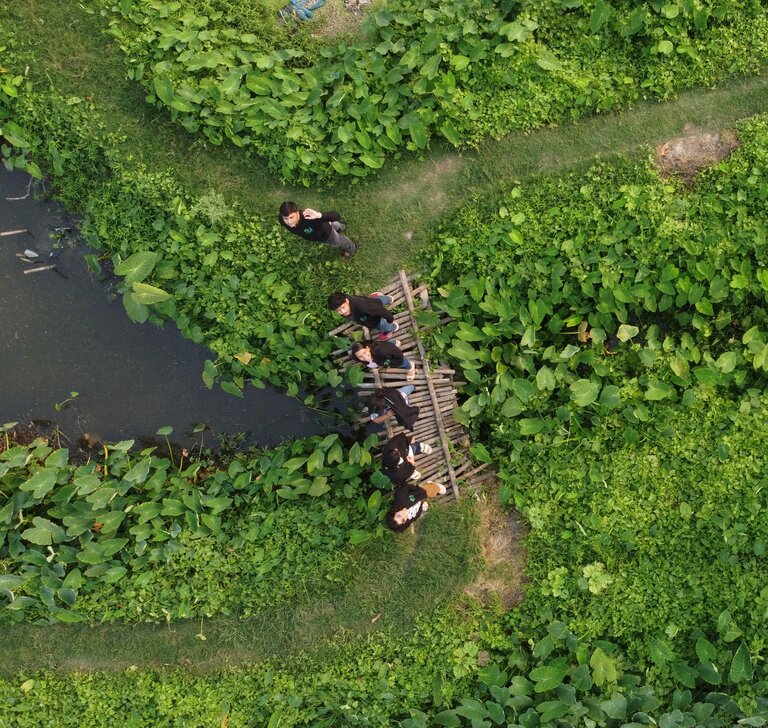 Science of the Wetland