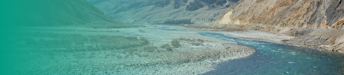 Digital Solution Background