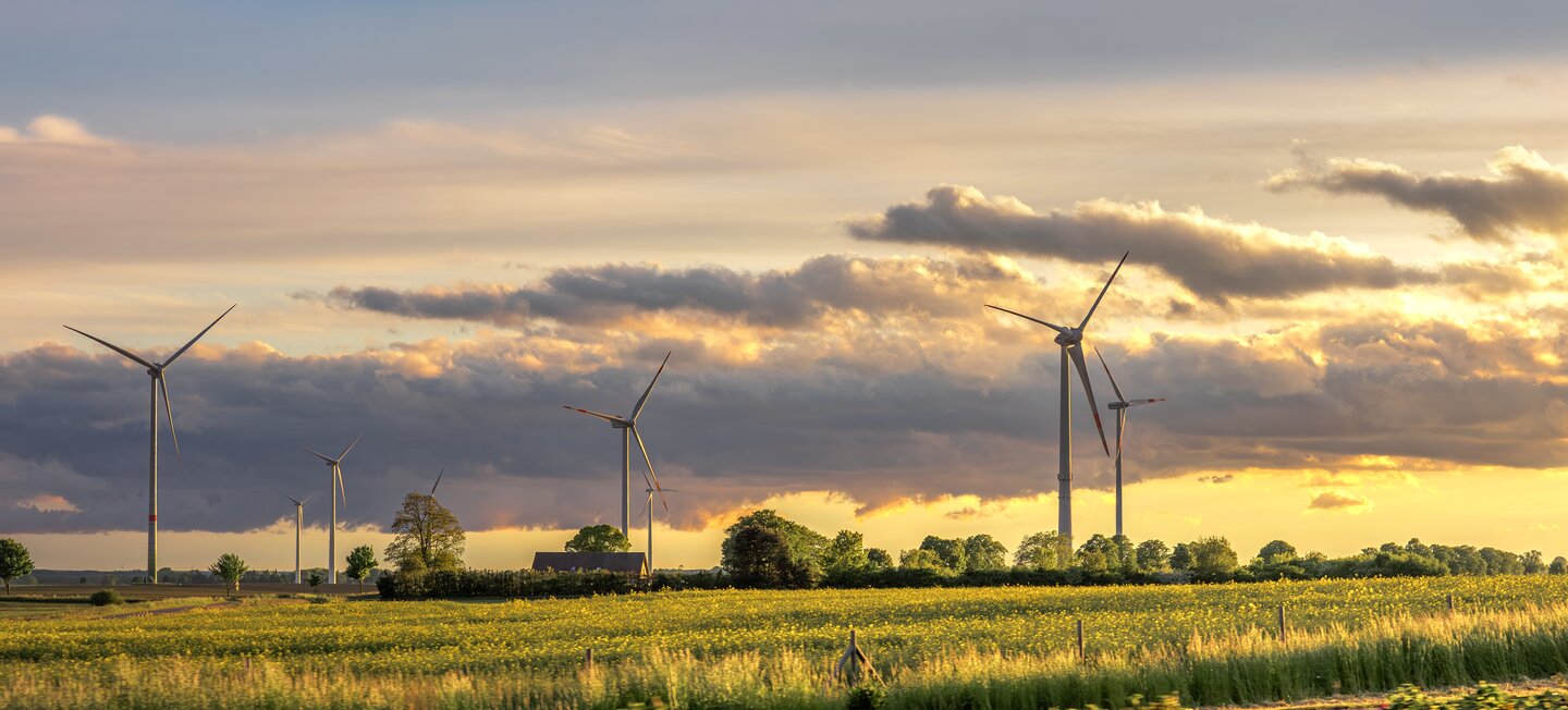 Digitalised Sustainability Advisory Services