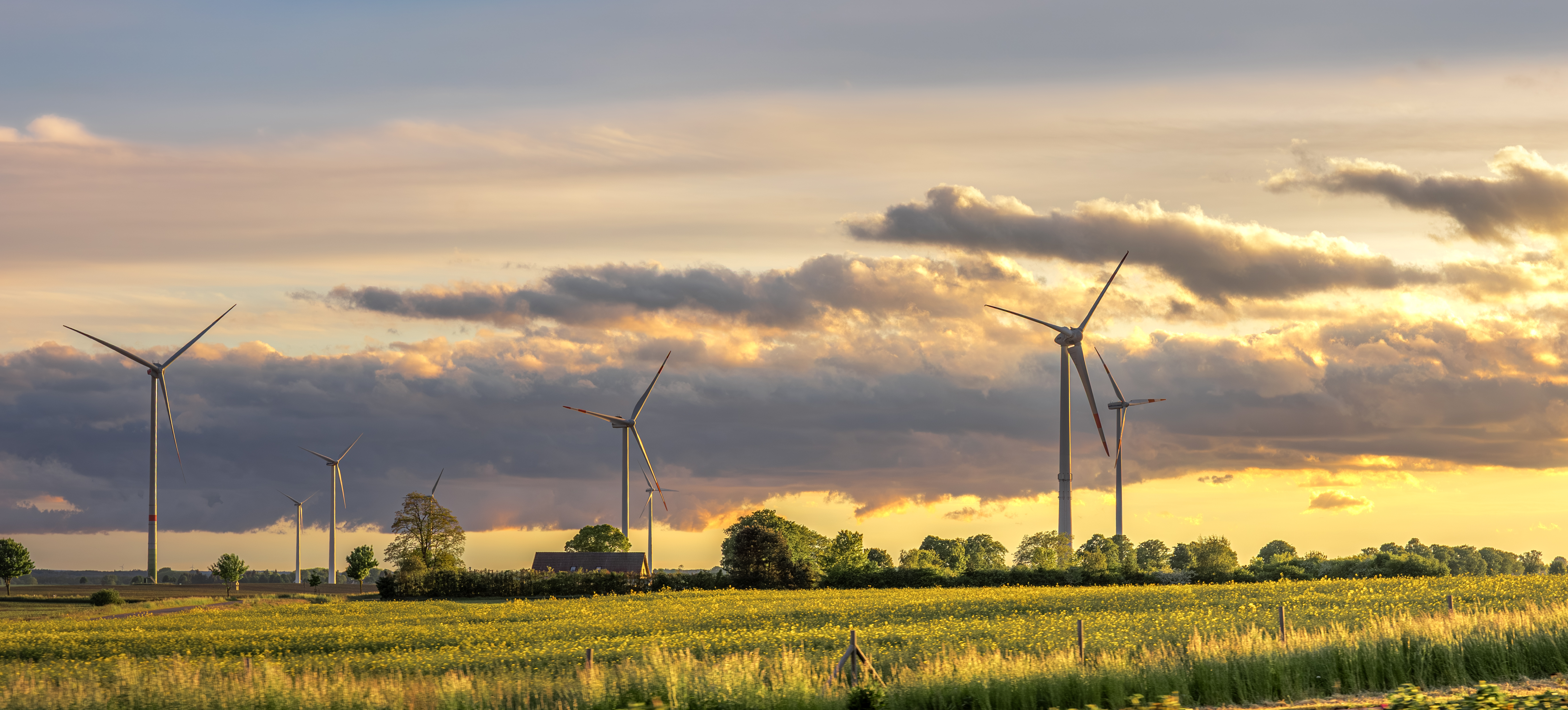 Sustainability Advisory Services